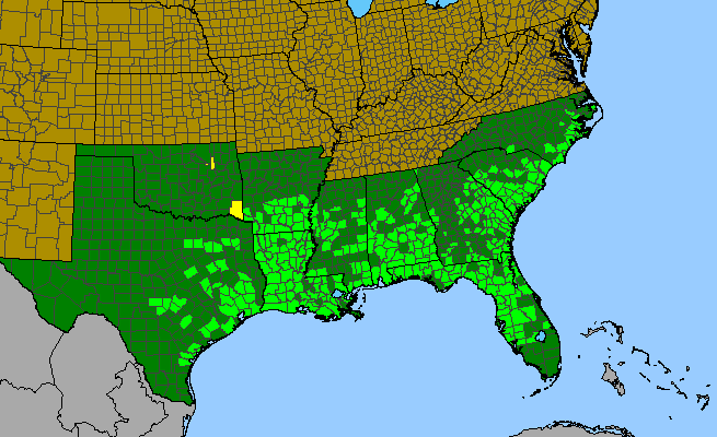 The range of Sabal minor